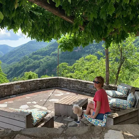 Дом отдыха Magic Mola